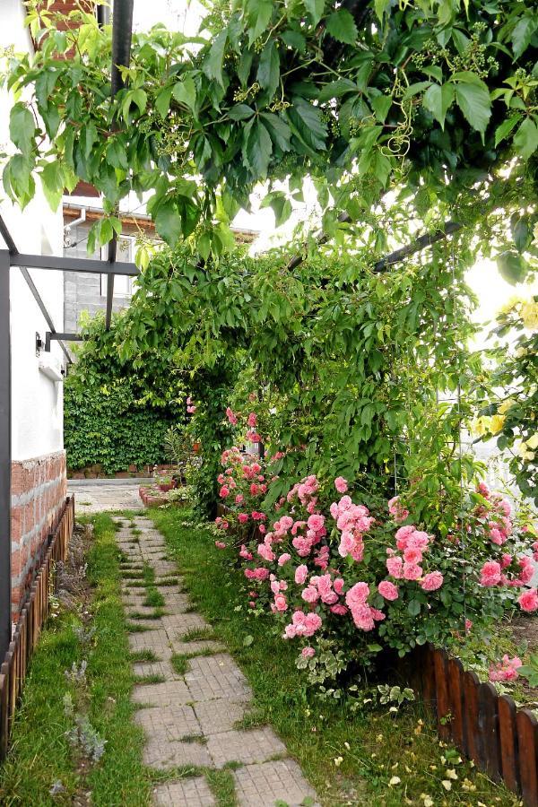 Guest House Medina Belogradchik Exterior foto